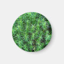 Search for capping magnets Nature