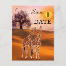 Search for safari save the dates African