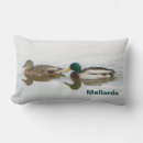 Search for green and gray cushions Nature