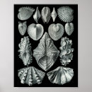 Search for fifty five art Black and white