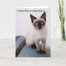 Search for funny cat birthday cards Grumpy