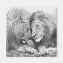 Search for wildcat magnets Wildlife
