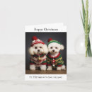 Search for bichon frise cards Puppies