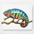 Search for lizard mousepads Amphibian