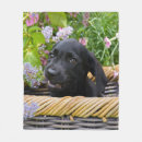 Search for labrador retriever blankets Funny