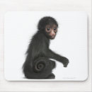 Search for full face mousepads Looking at camera