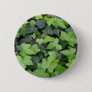 Search for ivy badges Nature