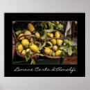 Search for italian lemons posters Amalfi