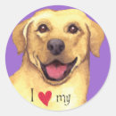 Search for labs stickers Yellow labrador retriever