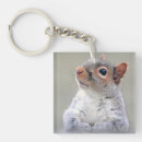 Search for gray squirrel key rings Rodent