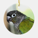 Search for conure christmas tree decorations Pet