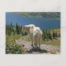 Search for hidden postcards Mountain