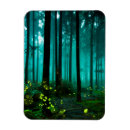Search for fireflies magnets Insect