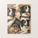 Search for border collie puzzles Cute