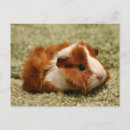 Search for adoreable postcards Baby