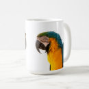 Search for macaws photography Bird
