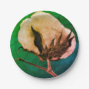 Search for cotton boll Southern