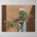 Search for lilac bushes posters Lilacs