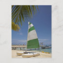 Search for plantation postcards Boat