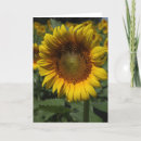 Search for across the miles birthday cards Floral