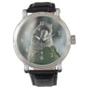 Search for conures accessories Bird
