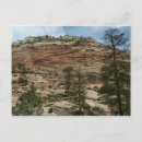 Search for worn postcards Nature