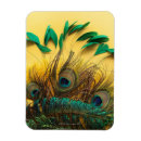 Search for peacock feathers magnets Bird