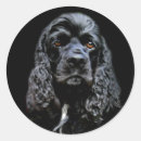 Search for cocker stickers Black