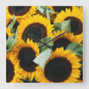 Search for sale clocks Close up