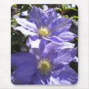 Search for clematis mousepads Nature