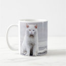 Search for one eye mugs Cat
