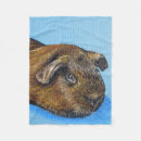 Search for guinea pig blankets Blue