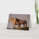 Search for evening light cards Animal