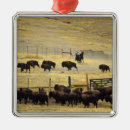 Search for montana christmas tree decorations Cowboy