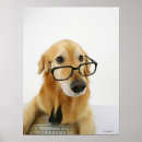 Search for dogs wearing glasses posters Animals