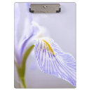 Search for wild iris Nature