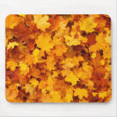 Search for landscapes mousepads Nature