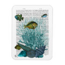Search for fish magnets Sealife