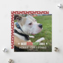 Search for dog dad christmas cards Modern
