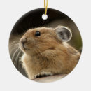 Search for rodent christmas tree decorations Brown