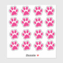 Search for animal tracks stickers Paws