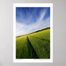Search for preparing posters Nature