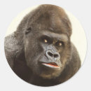 Search for gorillas stickers Funny