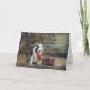 Search for border collie christmas cards Snow