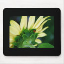 Search for ladybug mousepads Insect