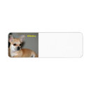 Search for chihuahua return address labels Animal