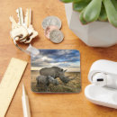 Search for rhino key rings Cute