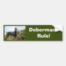 Search for doberman bumper stickers Dobie