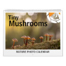 Search for mushroom calendars Fungi