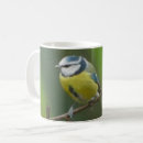 Search for tit mugs Bird